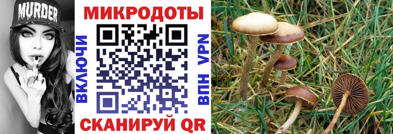 ссылка на мегу ONION  закладка  Олонец  Псилоцибиновые грибы прущие грибы 