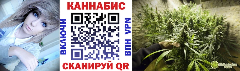 Каннабис конопля Олонец